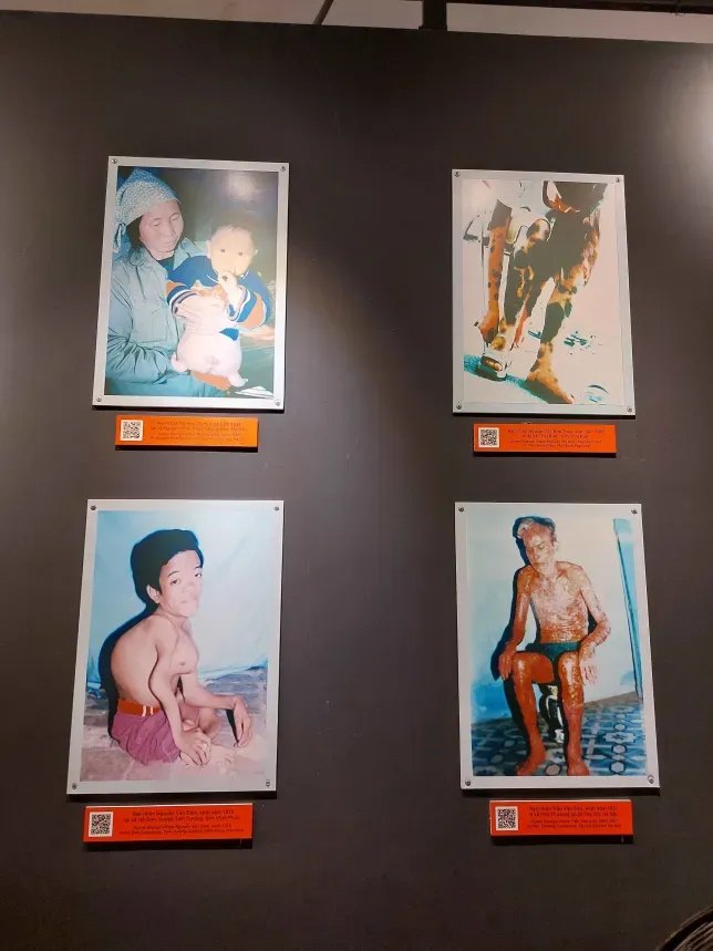 War victims documentation