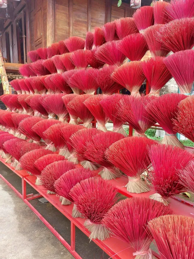 Beautiful flowers